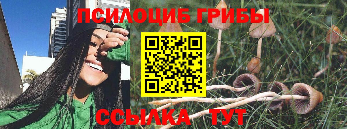 Псилоцибиновые грибы мицелий  Вход с VPN  Псилоцибиновые грибы Magic Shrooms  Заринск 