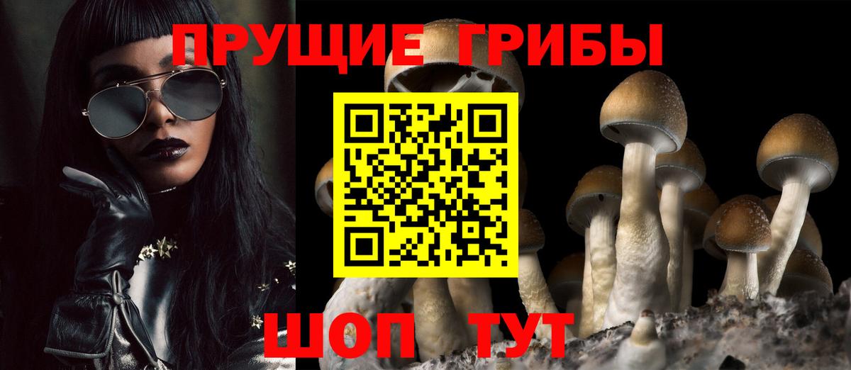 Псилоцибиновые грибы прущие грибы Заринск